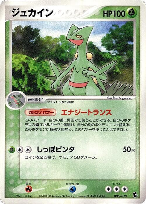 Sceptile — изображение карты