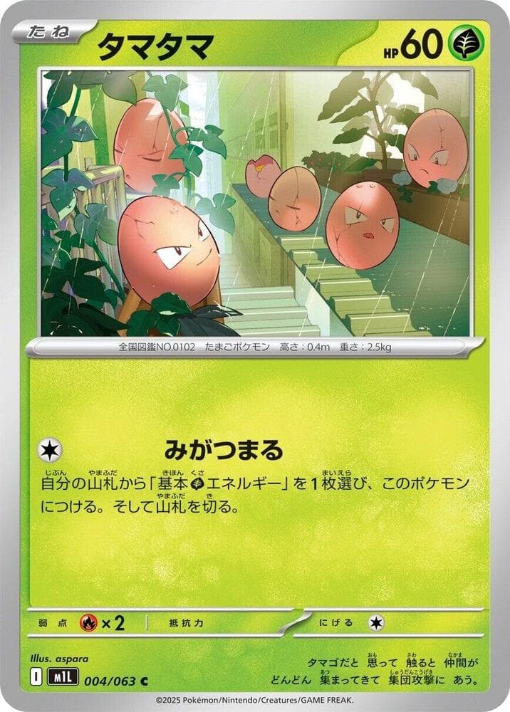 タマタマ — изображение карты