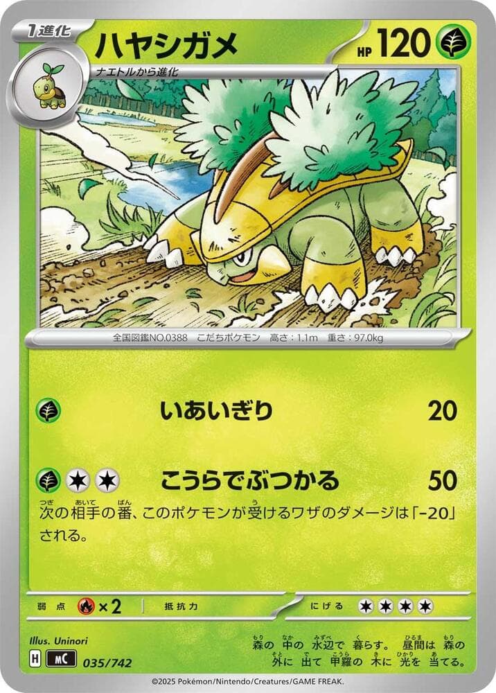 ハヤシガメ — изображение карты