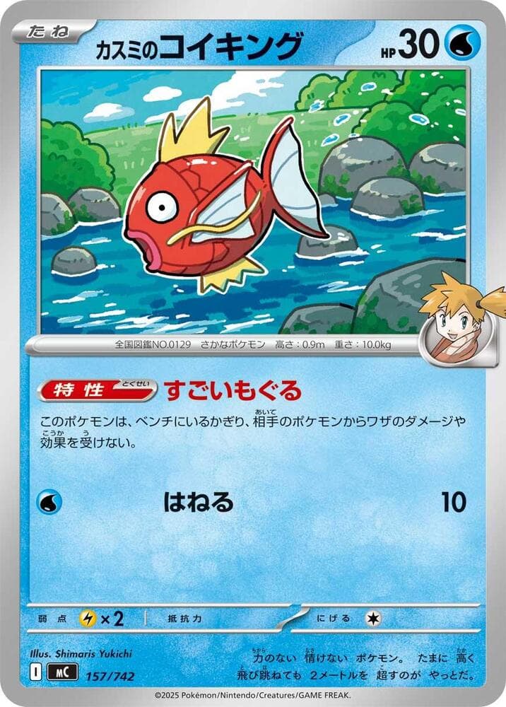 カスミのコイキング — изображение карты
